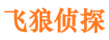 石家庄出轨调查